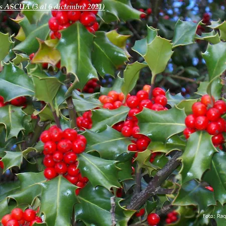 La Tahona De Lägenhet