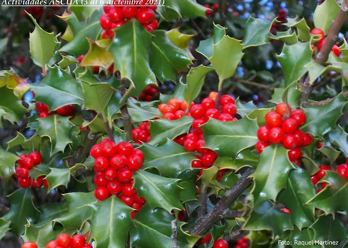 La Tahona De Apartmán